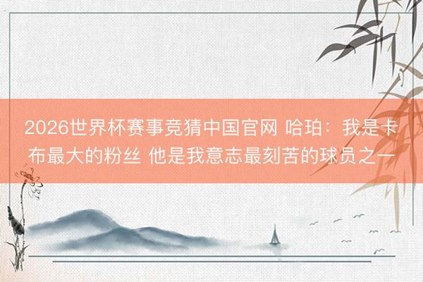 2026世界杯赛事竞猜中国官网 哈珀：我是卡布最大的粉丝 他是我意志最刻苦的球员之一