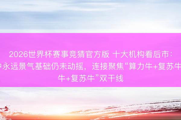 2026世界杯赛事竞猜官方版 十大机构看后市：AI板块中永远景气基础仍未动摇，连接聚焦“算力牛+复苏牛”双干线