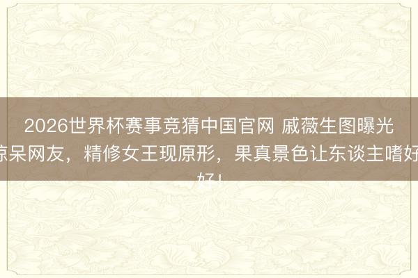 2026世界杯赛事竞猜中国官网 戚薇生图曝光惊呆网友,精修女王现原形,果真景色让东谈主嗜好!